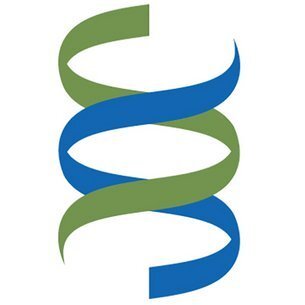 Brighton and Sussex Medical School shield logo